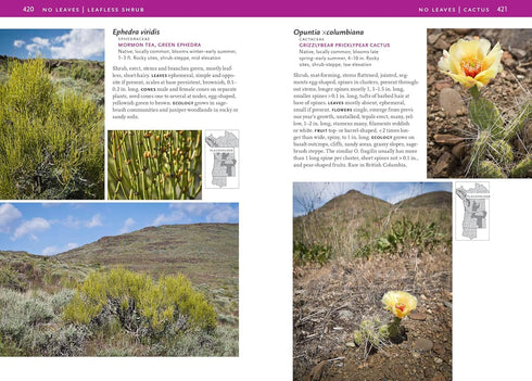 TREES & SHRUBS OF THE PACIFIC NORTHWEST - TURNER. MARK